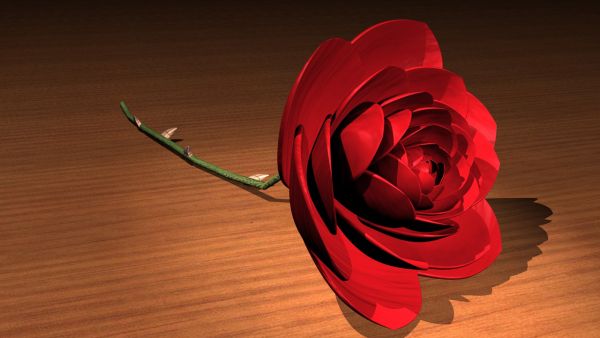 Single Rose